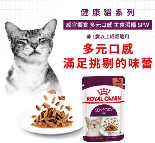 幼貓濕糧品牌 幼貓濕糧品牌