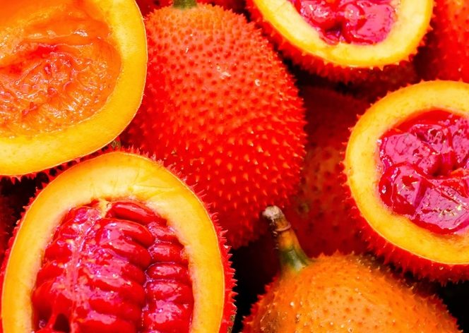 木鱉果油膠囊 功效 木鱉果油膠囊 功效