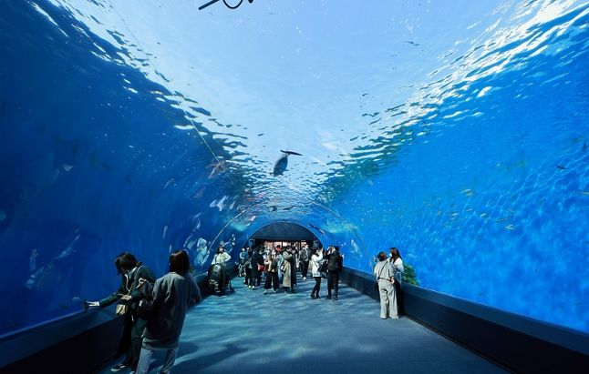 八景島餐廳推薦 八景島餐廳推薦