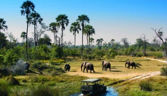 非洲最佳旅遊時間 非洲最佳旅遊時間