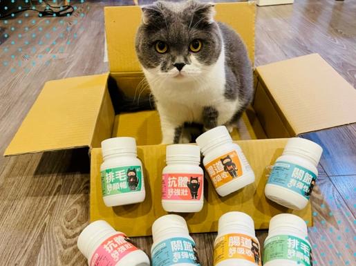 貓咪幾歲開始補充營養