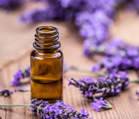 精油功效大全 精油功效大全