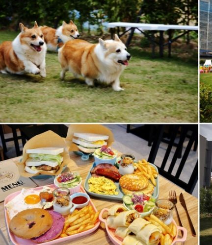 新竹寵物友善餐廳 新竹寵物友善餐廳