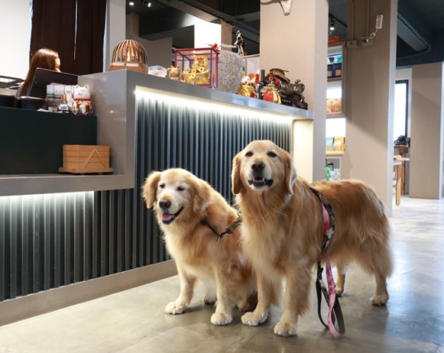 新竹寵物友善餐廳