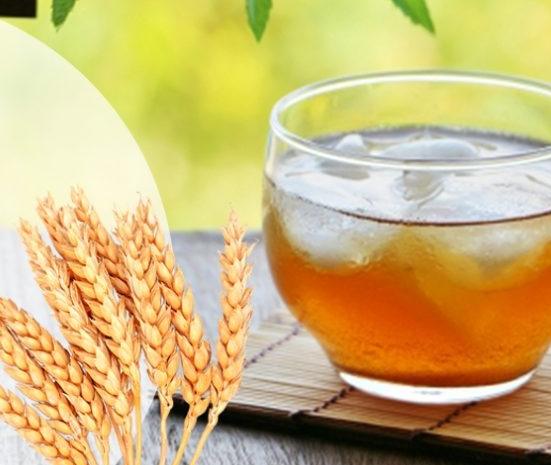 麥茶對腸胃的影響