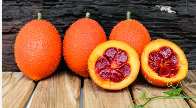 木鱉果油膠囊 推薦 木鱉果油膠囊 推薦