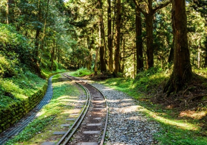 台灣中南部一日遊 台灣中南部一日遊
