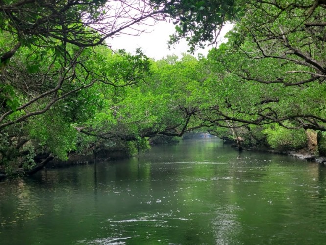 台灣中南部一日遊 台灣中南部一日遊
