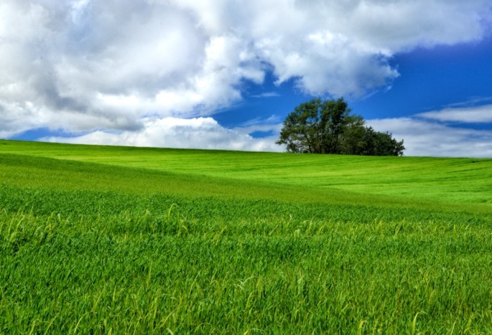 鄂爾多斯必去景點