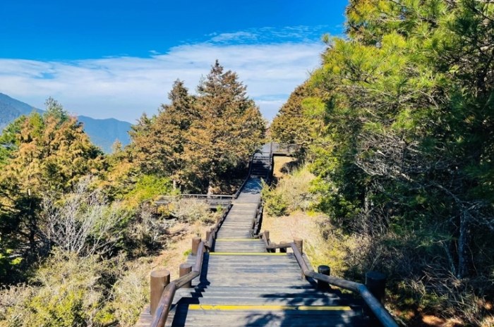觀霧旅遊景點 觀霧旅遊景點