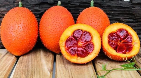 木鱉果參錠功效 木鱉果參錠功效