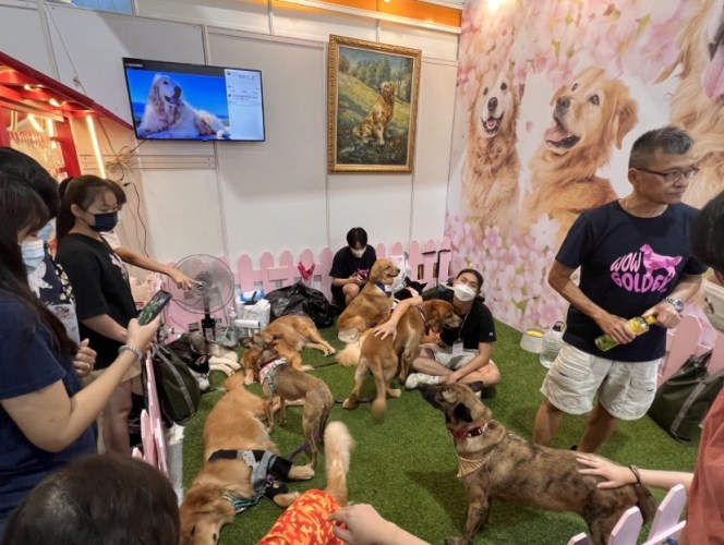 寵物展門票免費