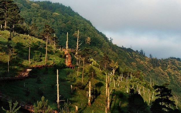觀霧住宿推薦 觀霧住宿推薦