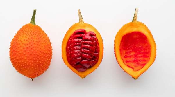 木鱉果參錠功效 木鱉果參錠功效