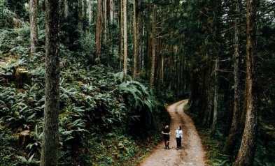 如何深度旅遊台灣 如何深度旅遊台灣