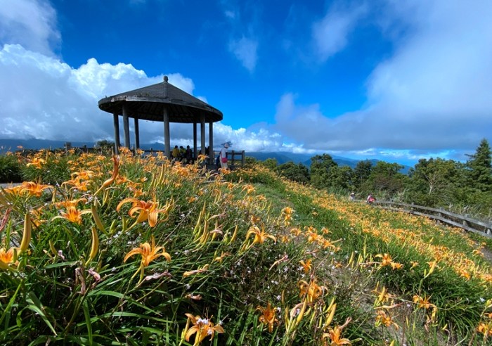 臺東自由行行程 臺東自由行行程