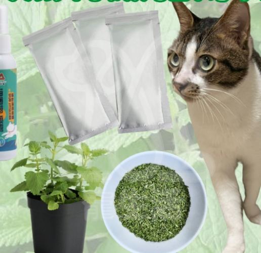 貓薄荷粉使用方法 貓薄荷粉使用方法