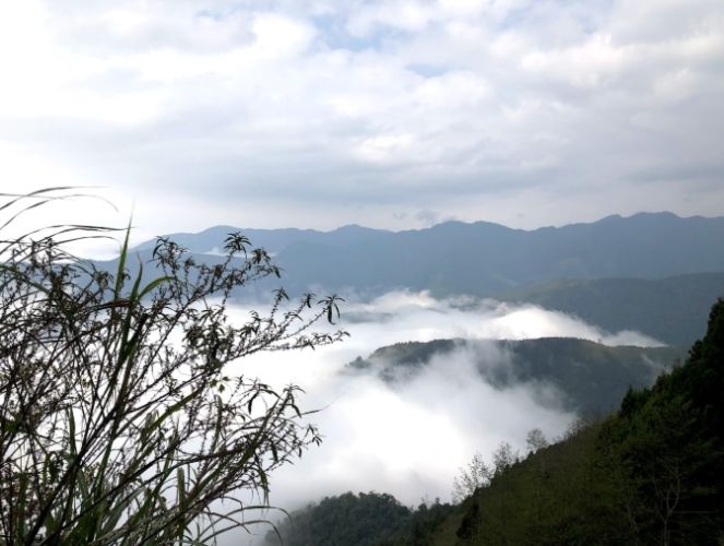 觀霧山莊交通 觀霧山莊交通