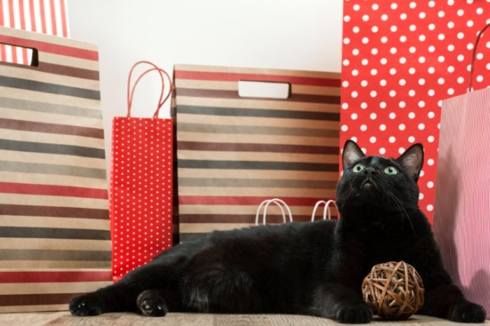 黑貓夢境解析 黑貓夢境解析