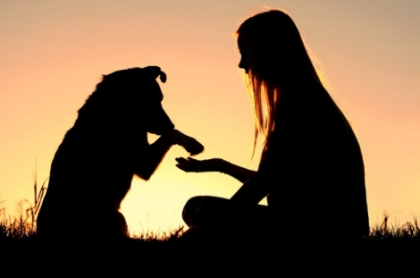 寵物離世溝通 寵物離世溝通