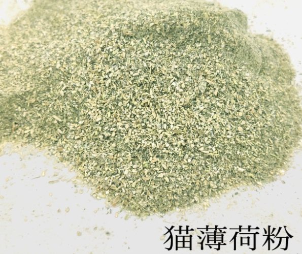 貓薄荷粉安全指南 貓薄荷粉安全指南