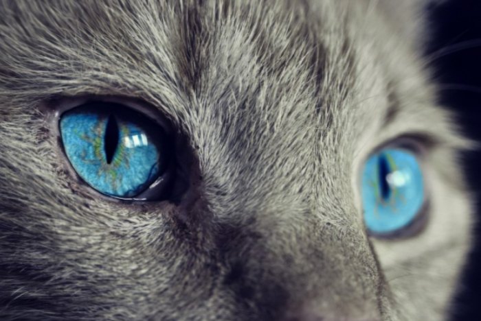 眼部整形 眼部整形