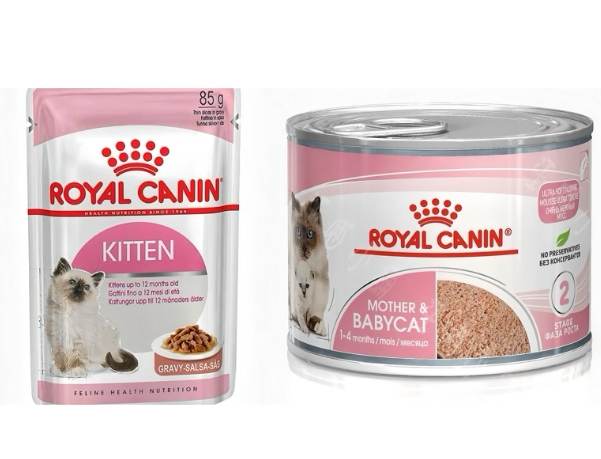 幼貓濕糧品牌 幼貓濕糧品牌