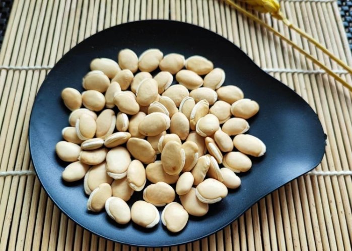 白扁豆副作用