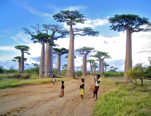 非洲最佳旅遊時間 非洲最佳旅遊時間