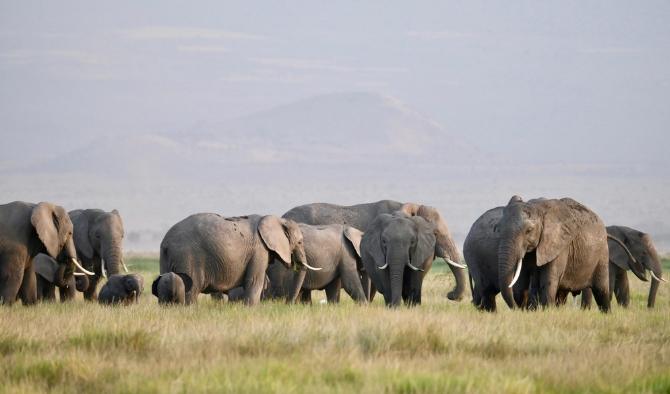 塞倫蓋蒂自由行規劃 塞倫蓋蒂自由行規劃