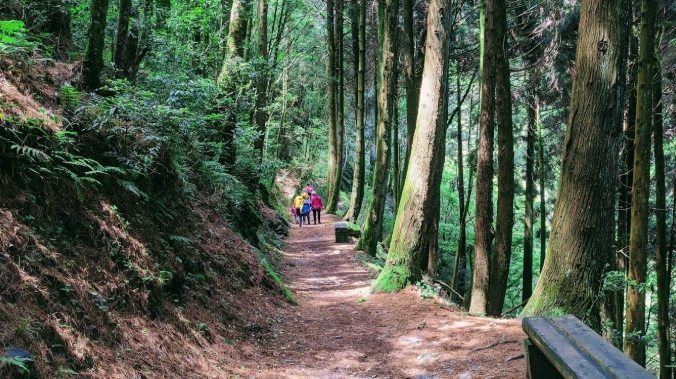觀霧山莊交通 觀霧山莊交通