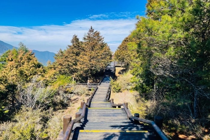 觀霧山莊旅遊攻略 觀霧山莊旅遊攻略