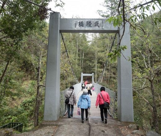 武陵櫻花季 武陵櫻花季
