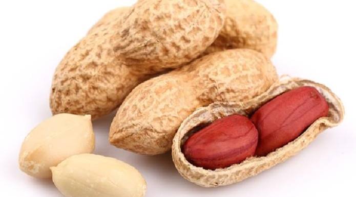 柿子花生同食 柿子花生同食