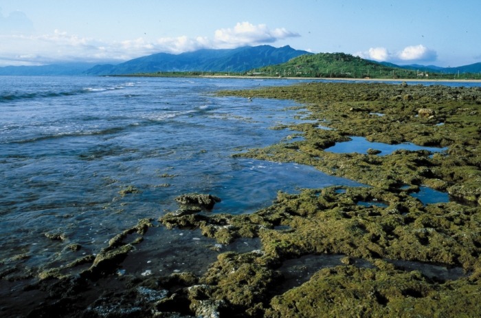 台灣潮間帶旅遊 台灣潮間帶旅遊