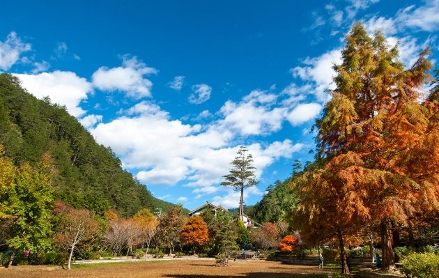 武陵農場 武陵農場