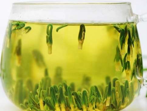 蓮子心茶怎麼泡