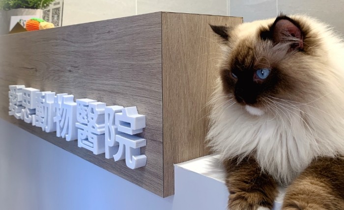 動物住院費用 動物住院費用