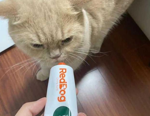 毛球症治療 毛球症治療