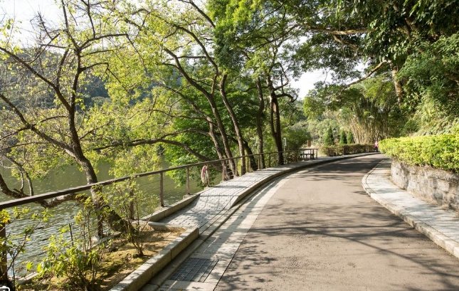 大溪步道路線 大溪步道路線