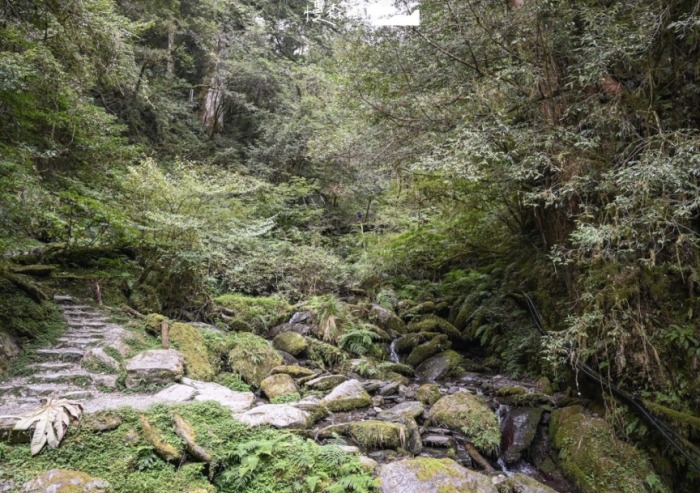 拉拉山步道長度 拉拉山步道長度