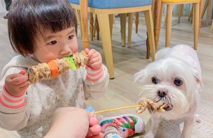 新竹帶狗吃飯 新竹帶狗吃飯