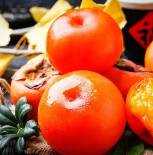 柿子花生同食 柿子花生同食