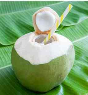 低糖椰子汁 低糖椰子汁