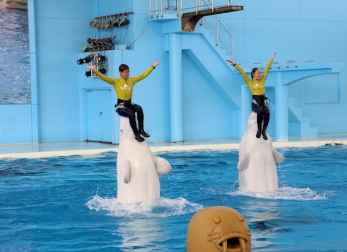 八景島海島樂園門票 八景島海島樂園門票