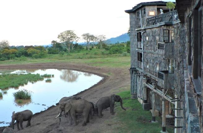肯亞行李清單 肯亞行李清單