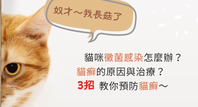 貓癬居家護理 貓癬居家護理