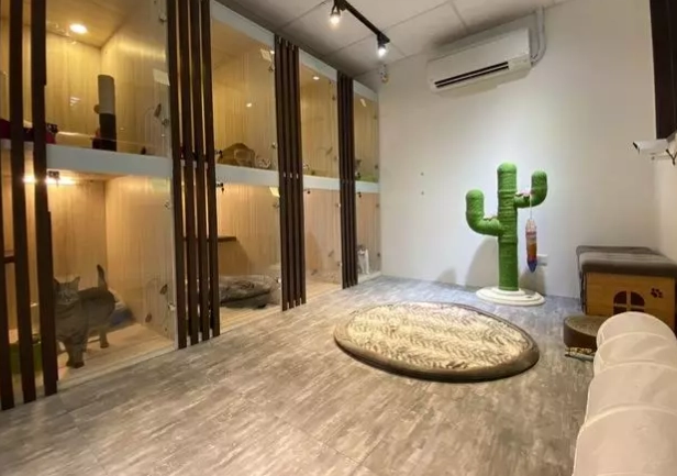 桃園寵物住宿