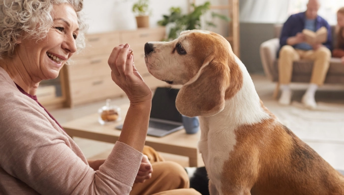 狗狗飼養成本 狗狗飼養成本