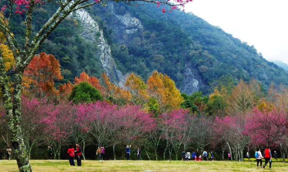 森林遊樂區推薦 森林遊樂區推薦